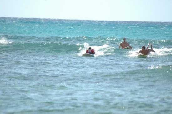 赫德曼冲浪学校-火奴鲁鲁必去景点