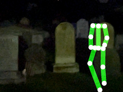 Southern Fried Tour Guide-查尔斯顿必去景点