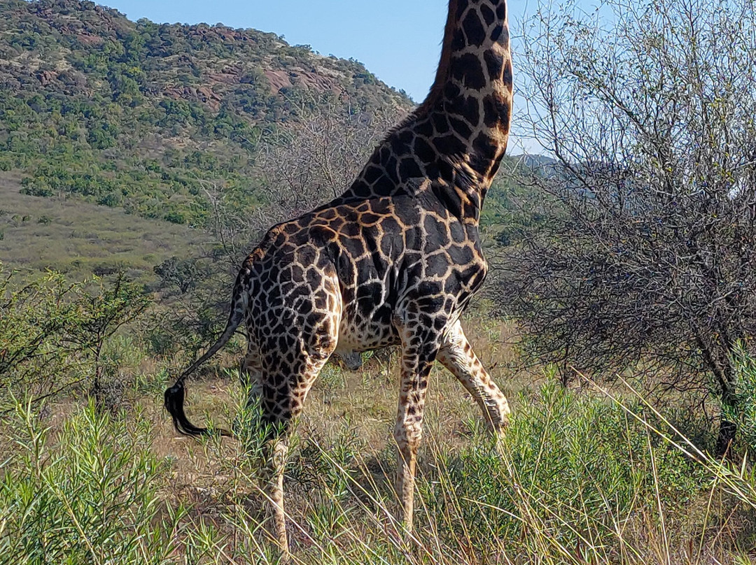 Mankwe GAMETRACKERS-太阳城必去景点