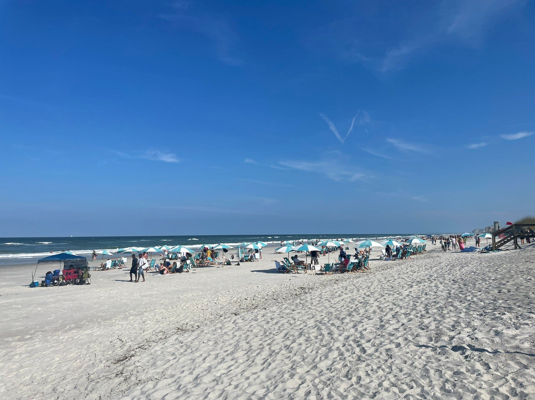 棕榈树复古酒店主图