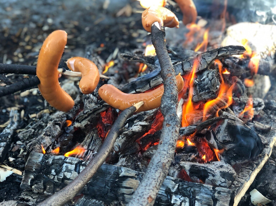 哈士奇之家一日游-伊瓦洛必去景点