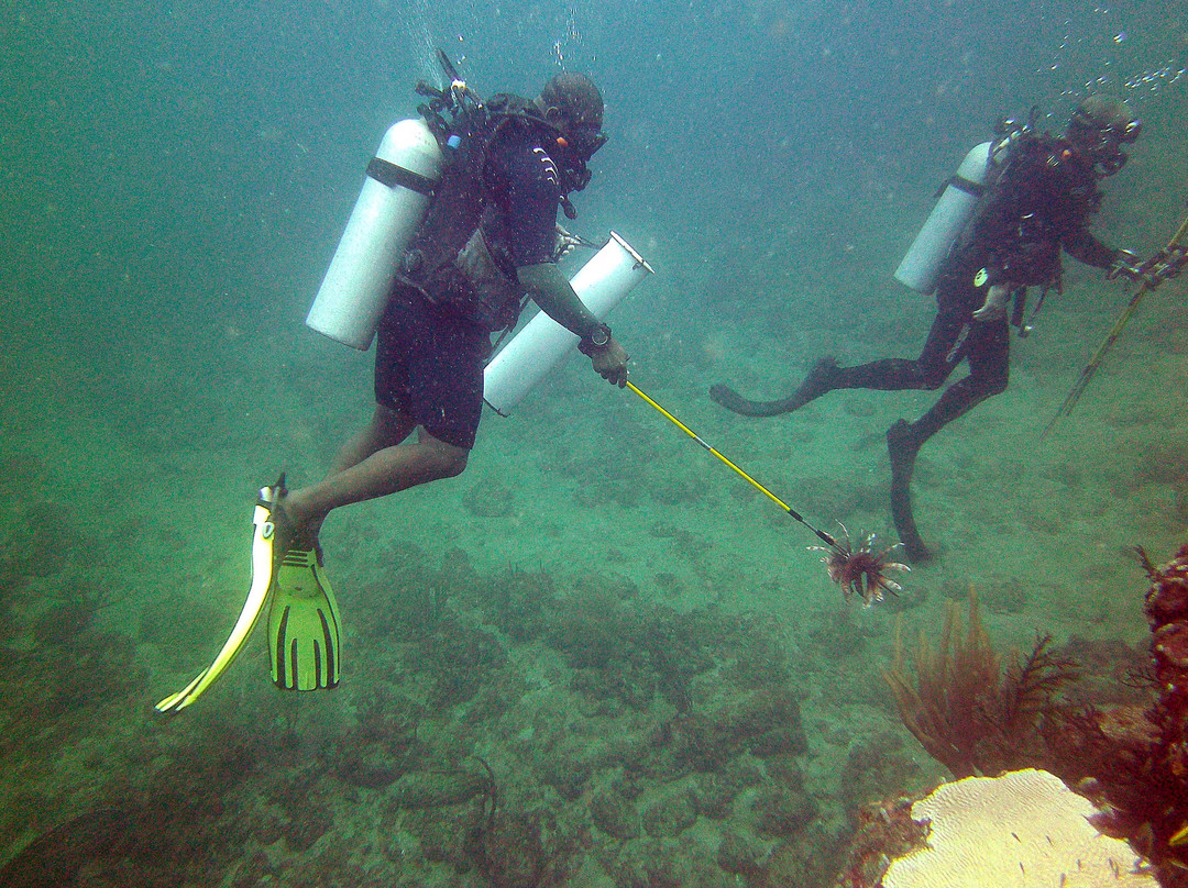 Undersea Tobago Ltd-克朗波因特必去景点
