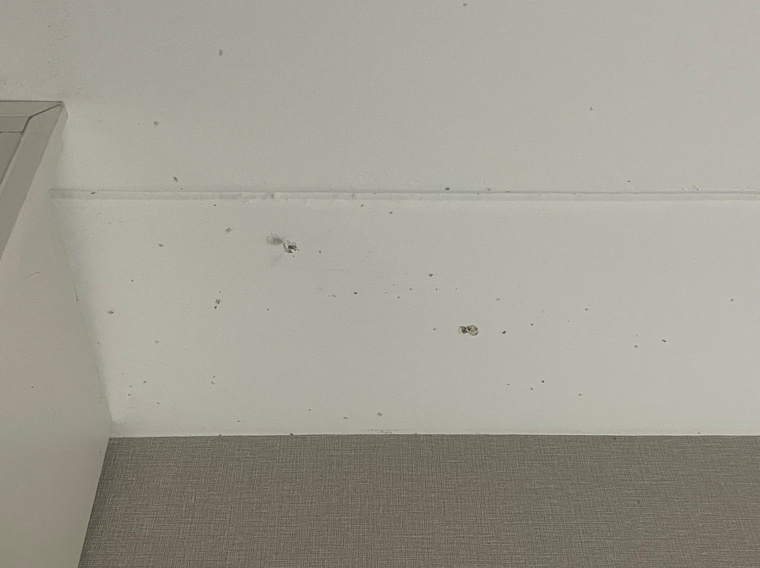 Best Western West Lebanon- Hanover Hotel主图