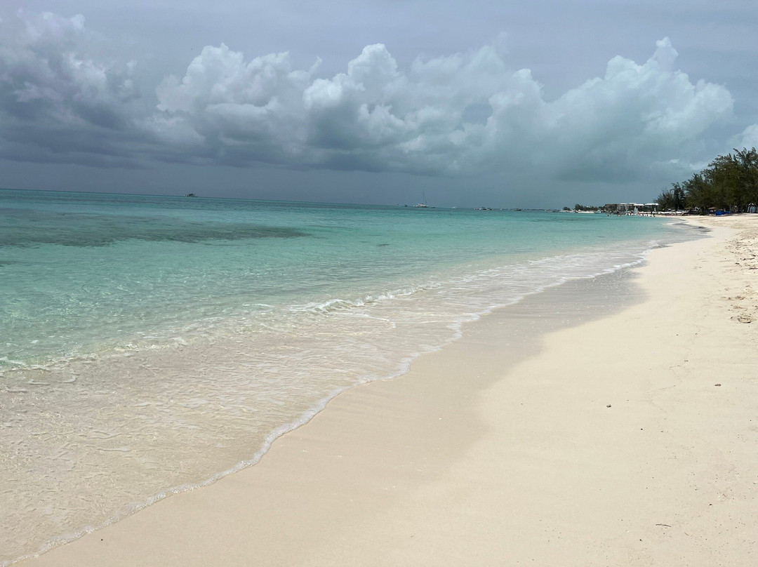 Bight Reef (Coral Gardens)-普罗维登西亚莱斯必去景点