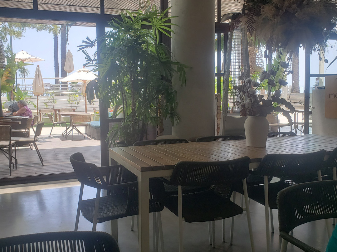 Manuka - Alanda Marbella