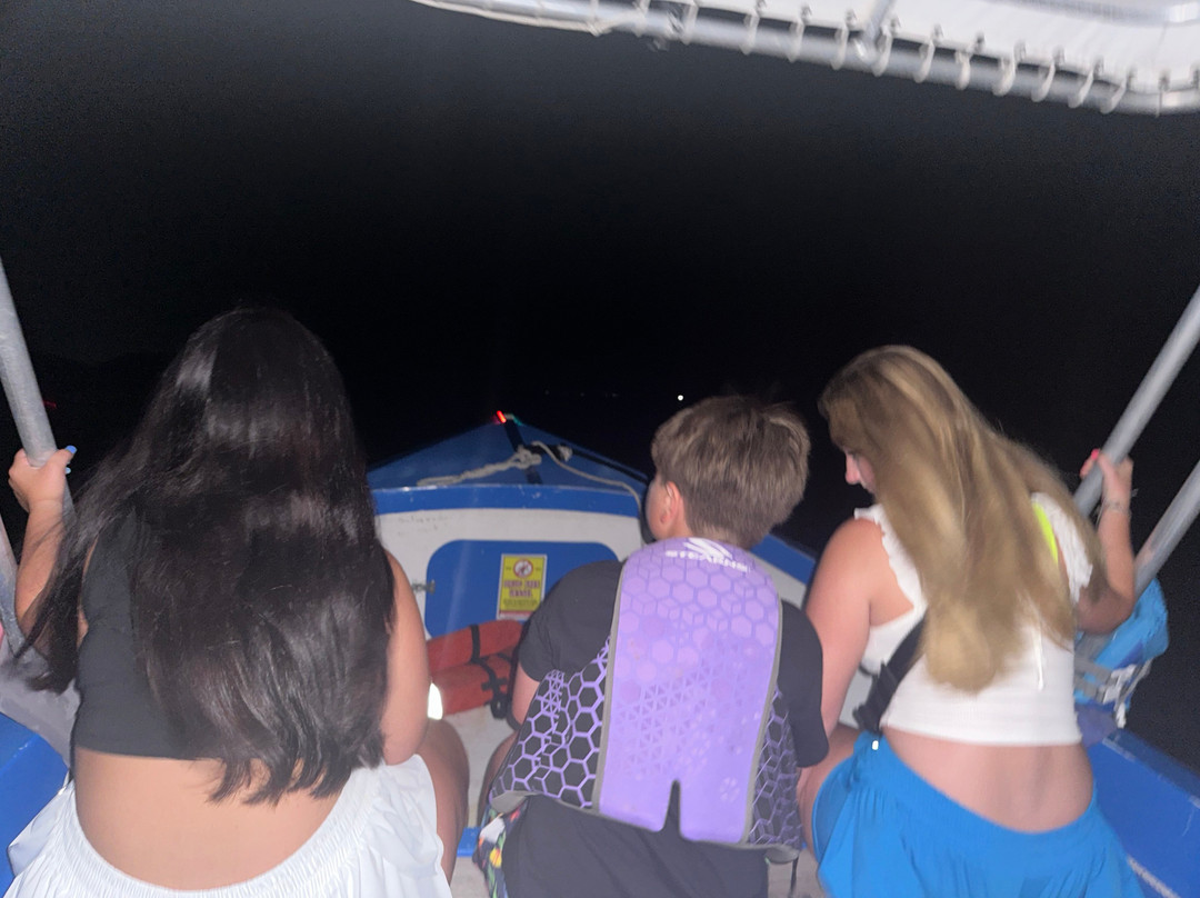 Aleli Tours - Day Tours-La Parguera必去景点