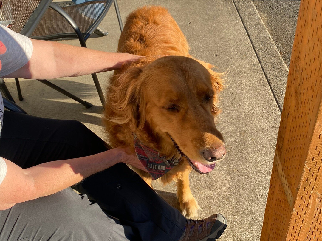 South Jetty Inn主图