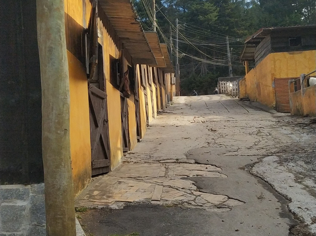 Rancho do Tinho-坎普斯－杜若尔当必去景点