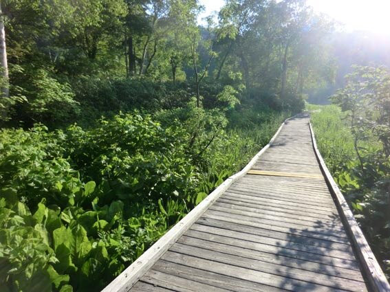 Yukomanbetsu Swamp-东川町必去景点