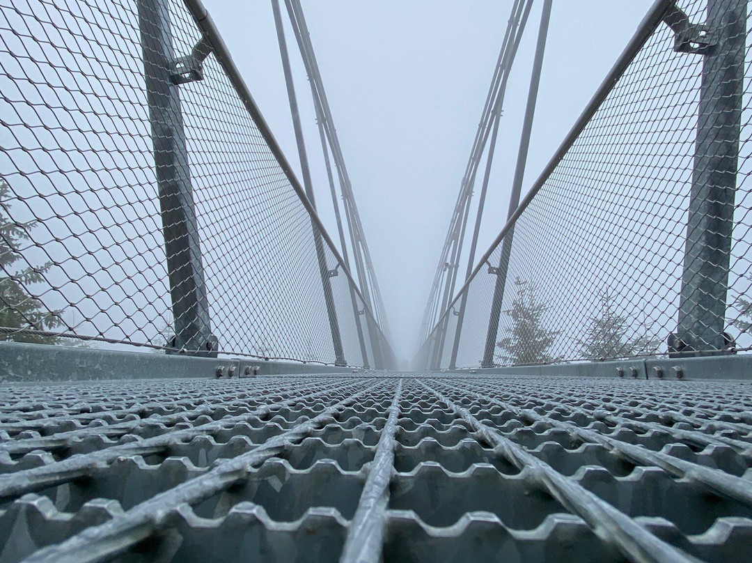 Sky Bridge 721景点图片