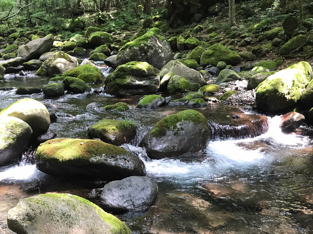 Shojinsawa Spring-盐谷町必去景点