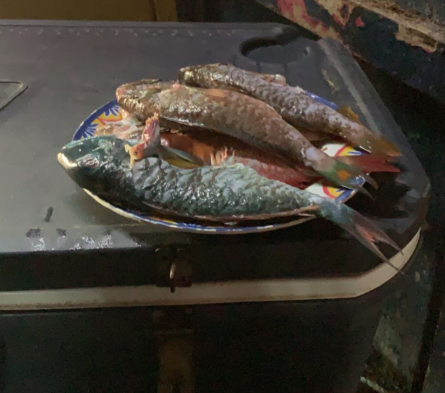 Hellshire Beach-Portmore必去景点