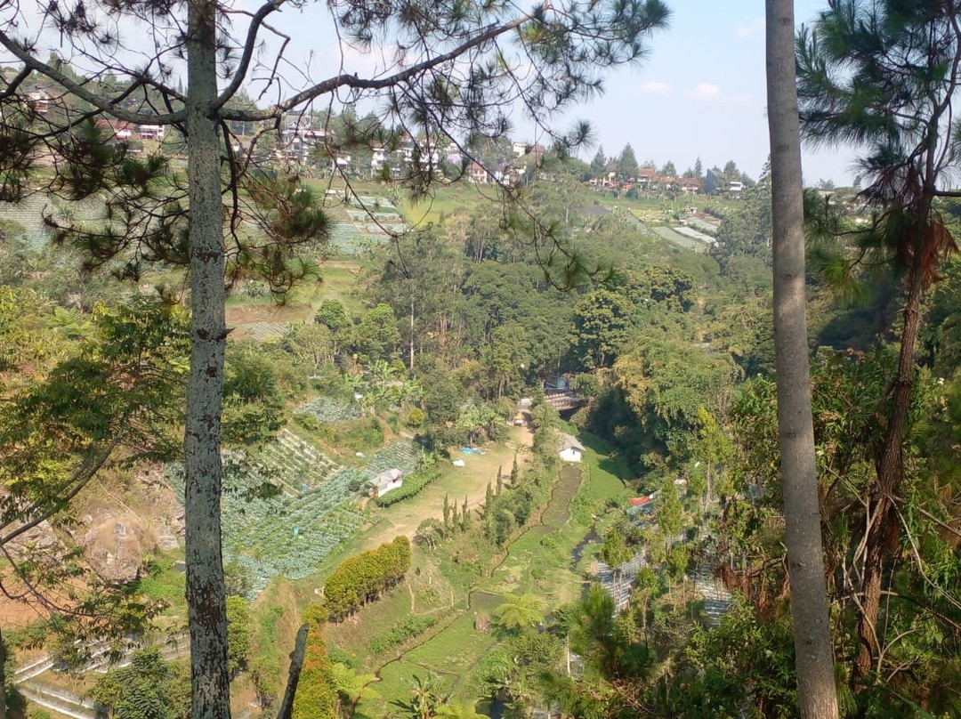 Grace Rose Farm-Cisarua必去景点