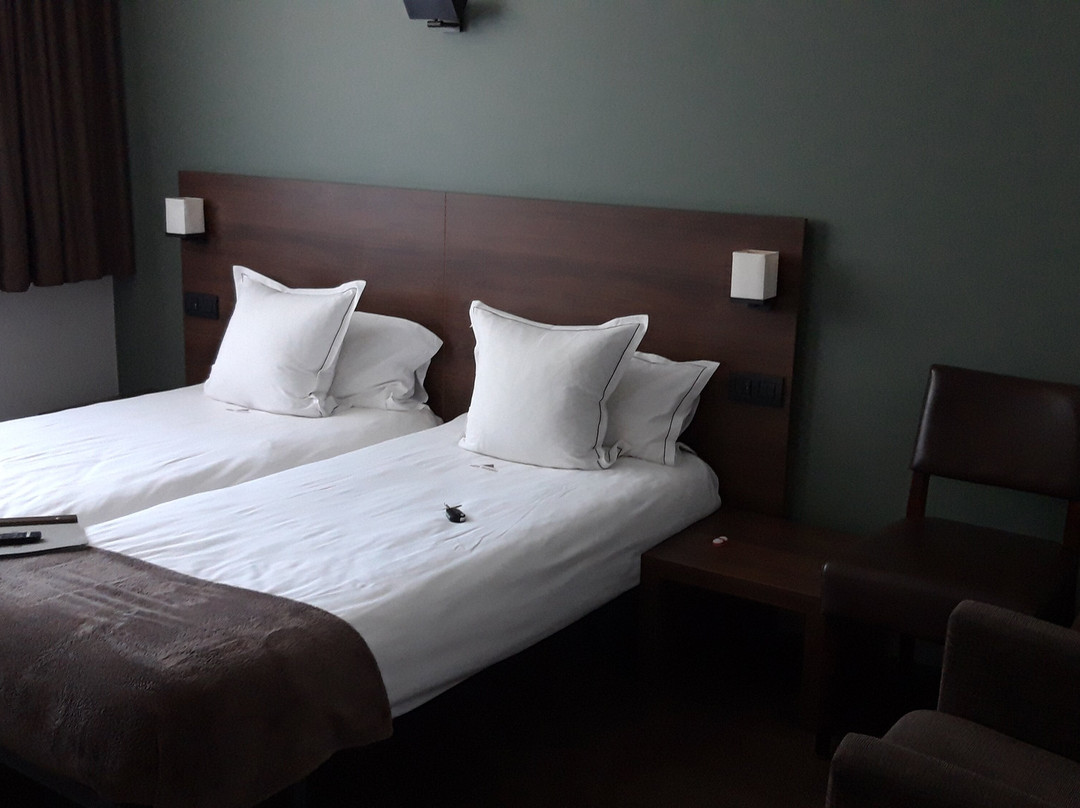 Hotel Villa Monte主图
