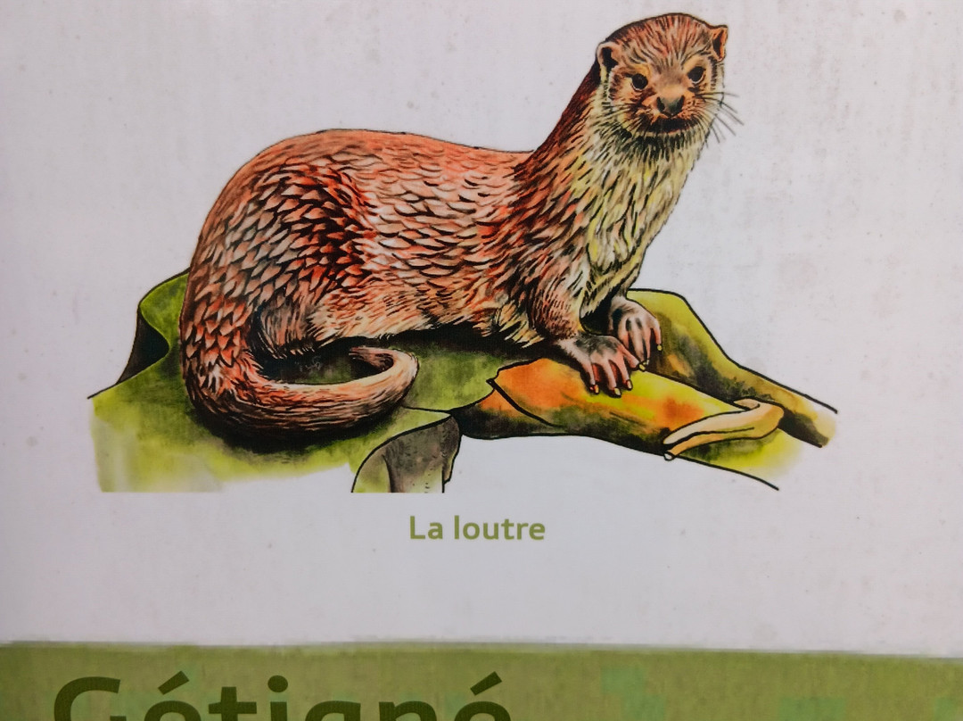 La Garenne De La Moine-Getigne必去景点