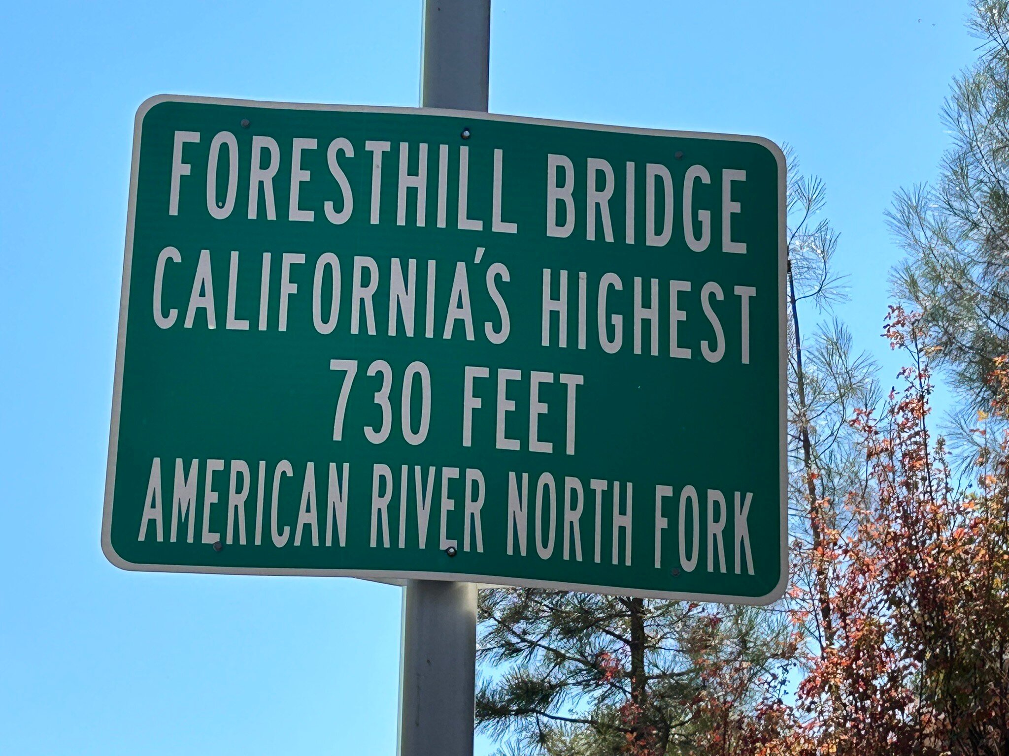 Foothills Motel-官方