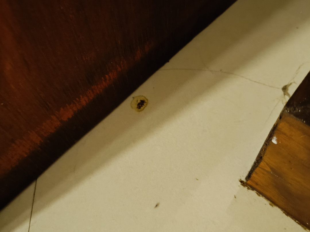 Kandy City Stay主图