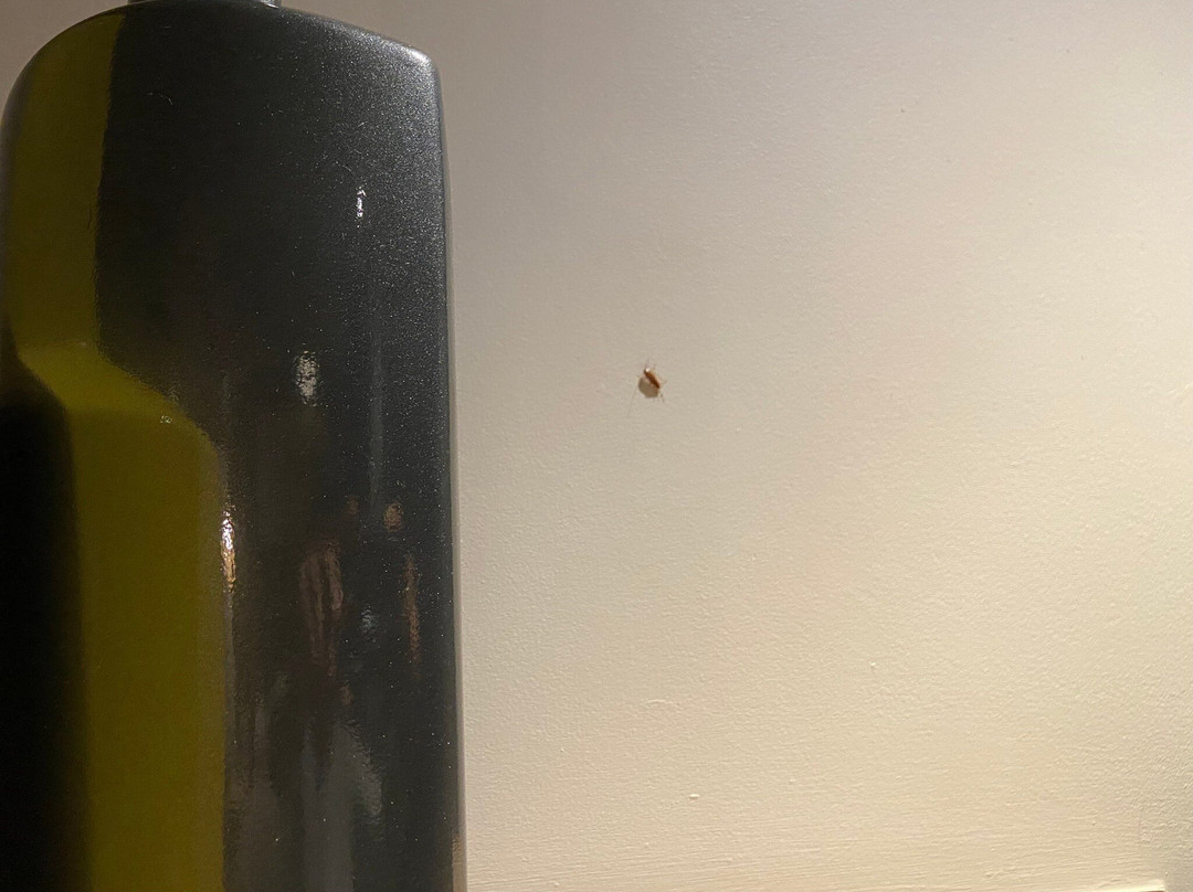 比勒陀利亚酒店住宿-The Capital Menlyn Maine