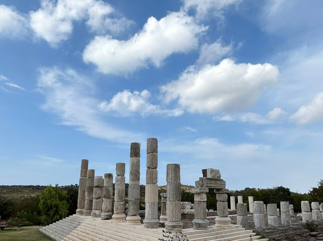 Apollon Symintheion Ruins景点图片