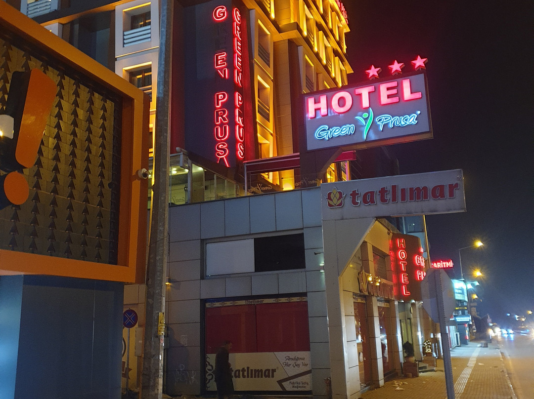 格律普鲁萨酒店主图