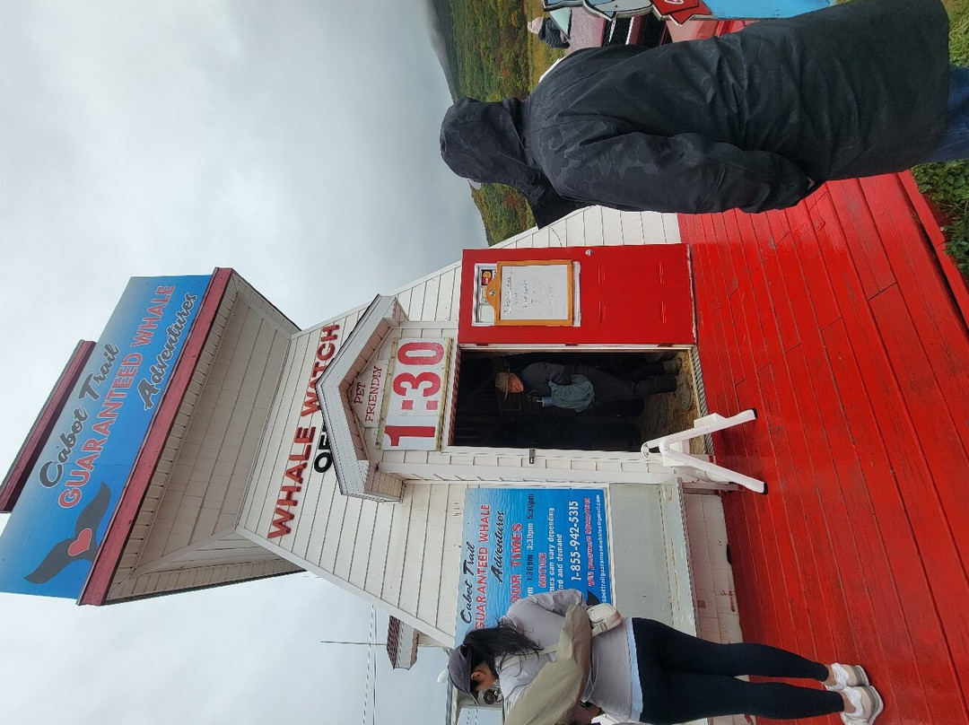 Cabot Trail Guaranteed Whales Adventures景点图片