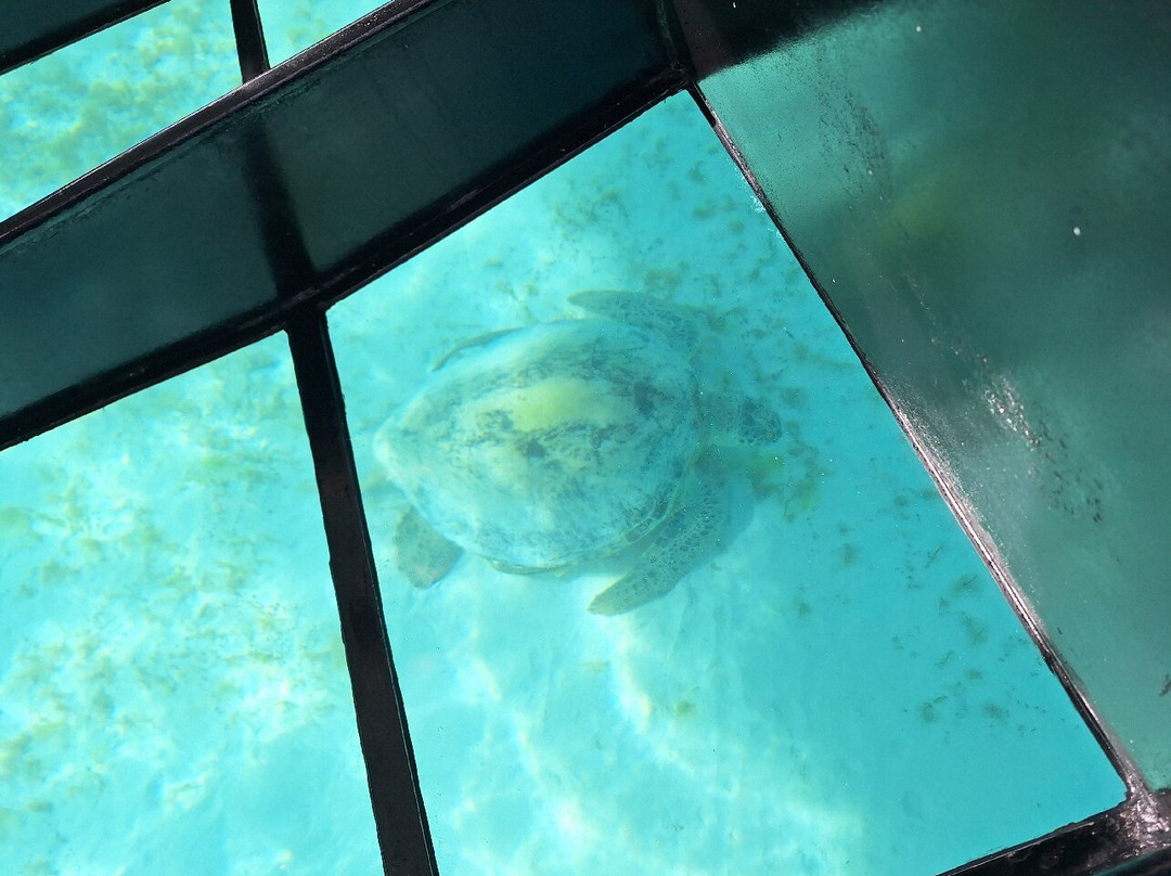 Ouest Corail-Bourail必去景点