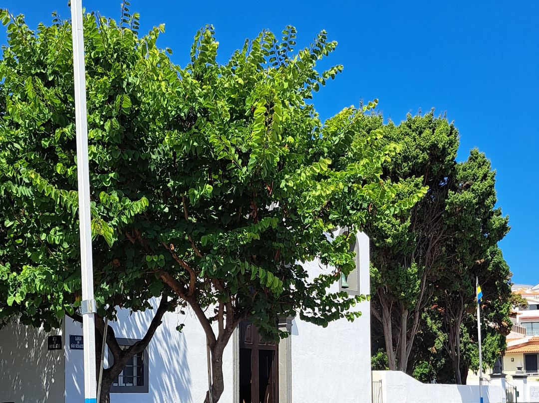 Sao Sebastiao Church景点图片