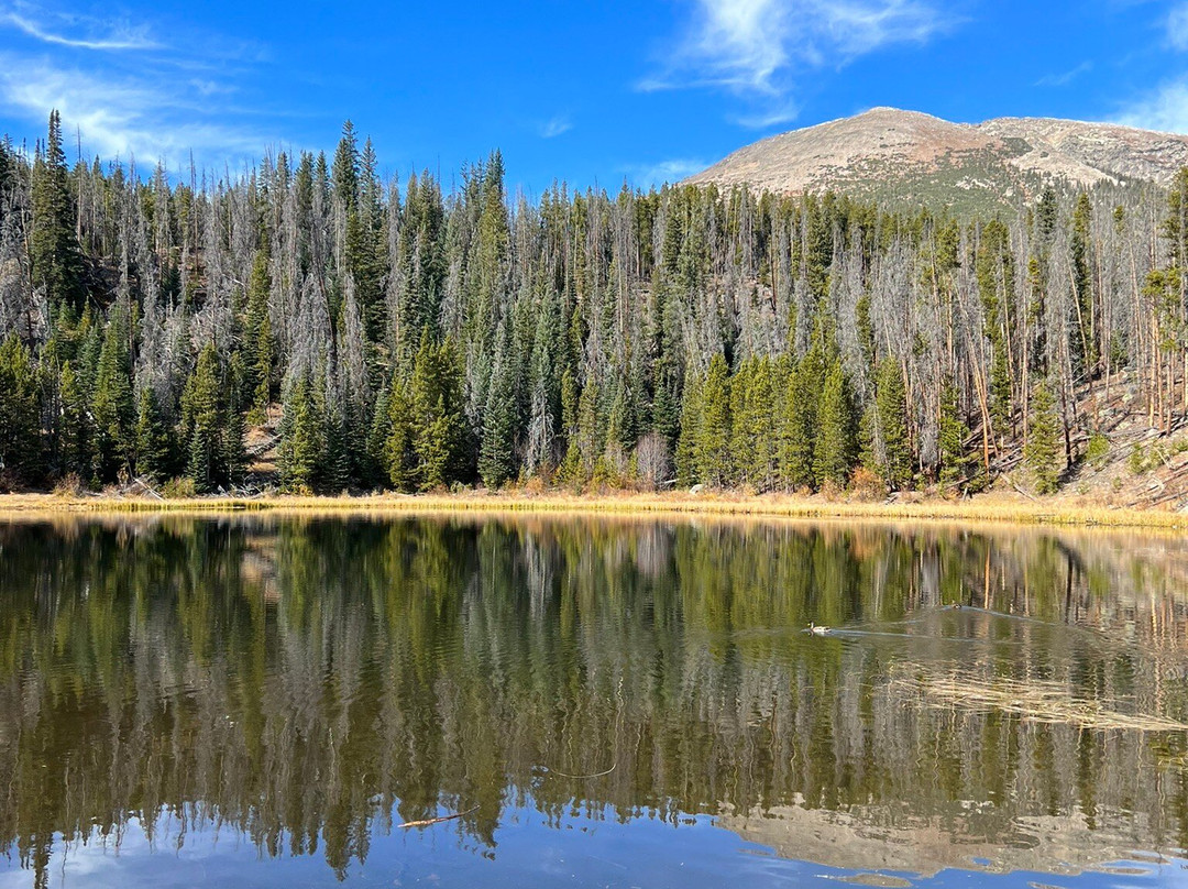 Lily Pad Lake Via Meadow Creek Trail-弗里斯科必去景点