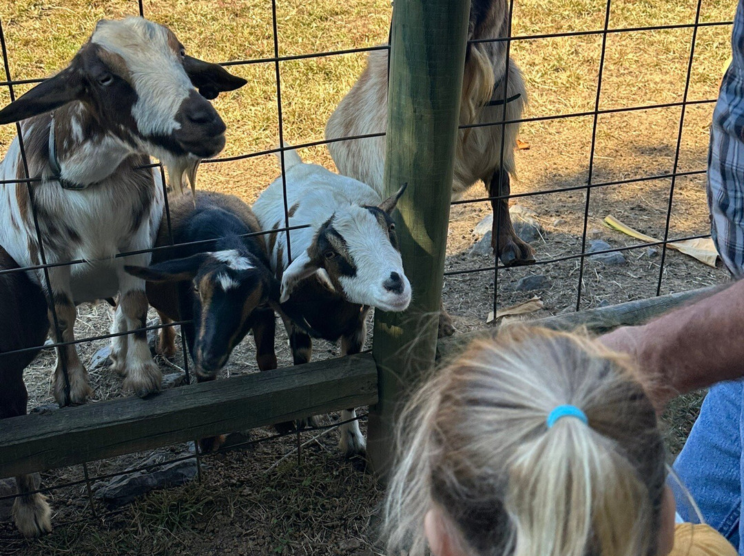 Little Ponderosa Zoo-Clinton必去景点