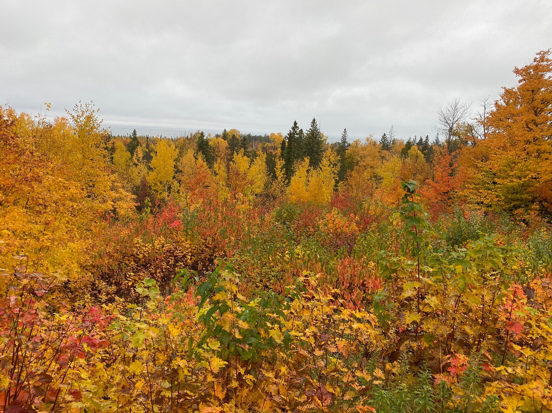 Whitefish Bay National Forest Scenic Byway景点图片