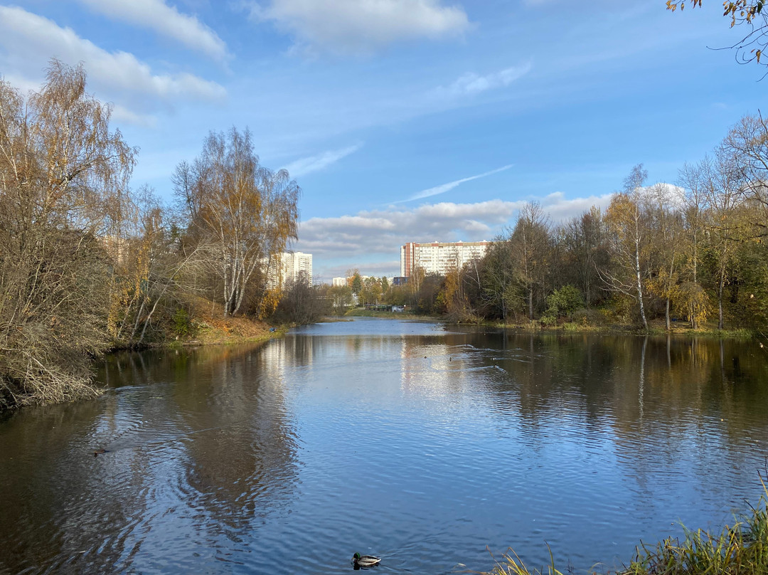 Recreation Area at the Lower Kamenskiy Pond景点图片