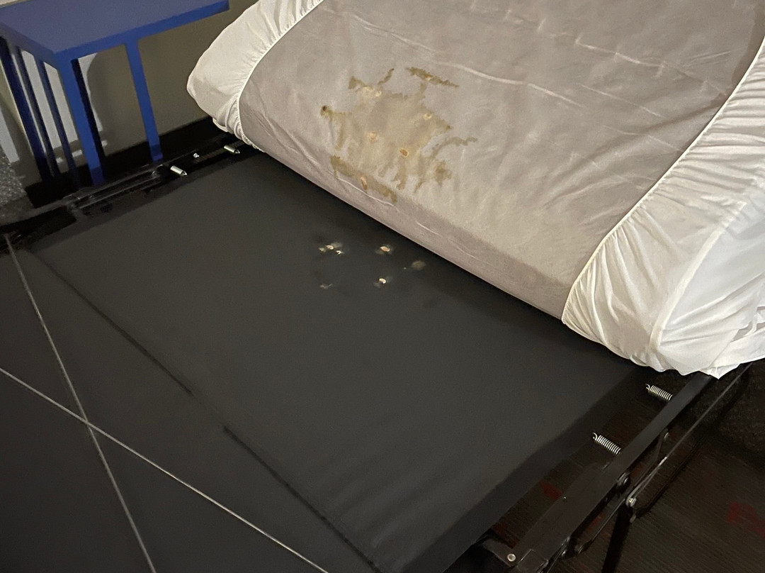 Hampton Inn Stafford/quantico & Conference Center主图