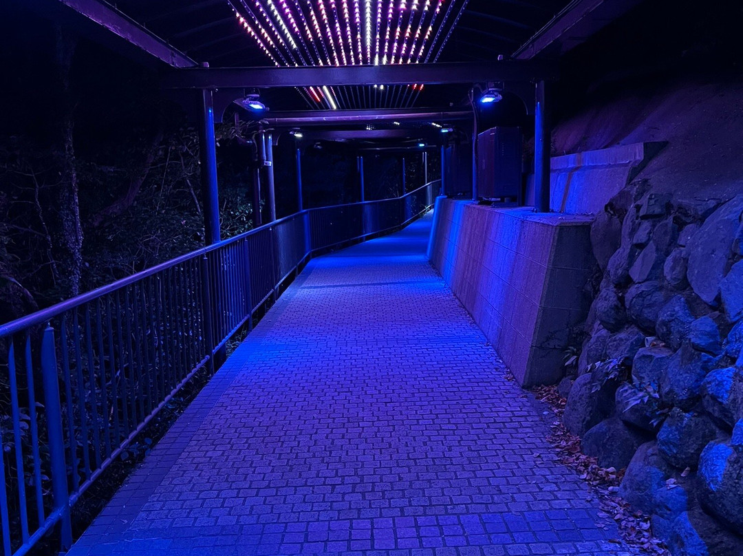 Nagasaki Ropeway-长崎市必去景点