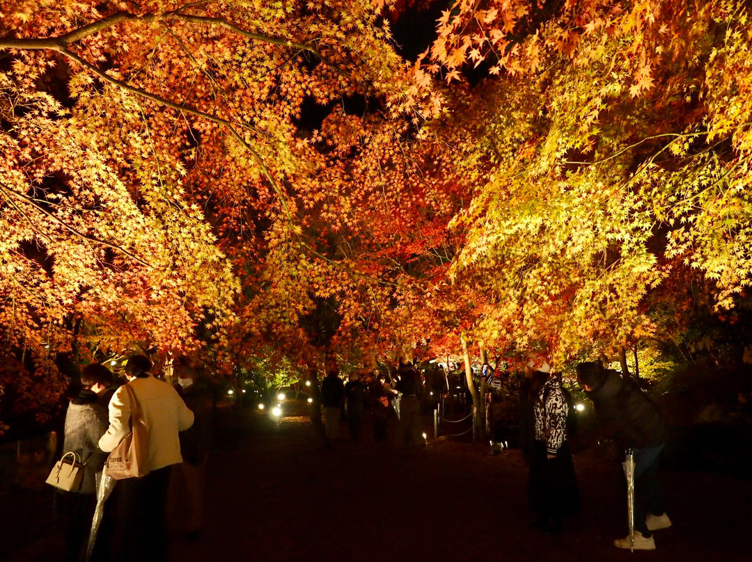 Sogi Park-土岐市必去景点
