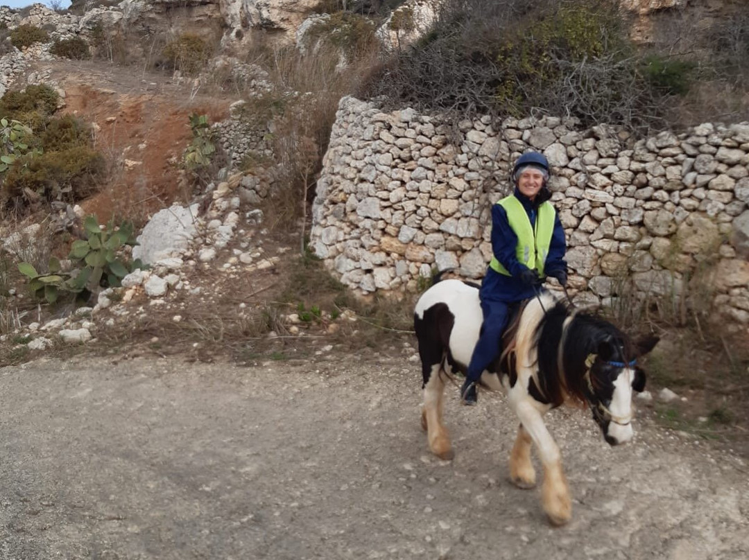 Gozo Stables Horse-Riding-Qala必去景点