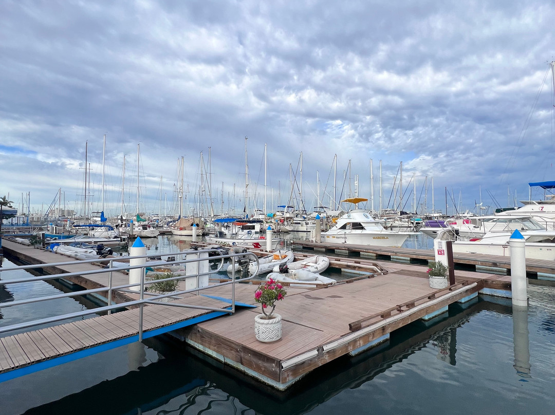 GoDiveBaja-拉巴斯必去景点