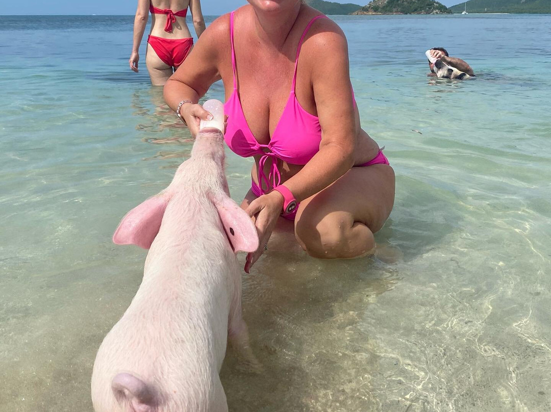 Pigs Paradise景点图片