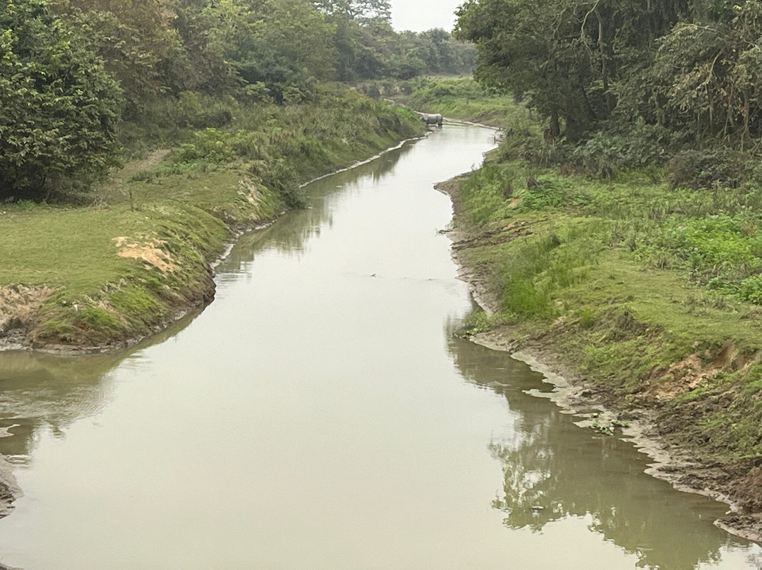 Kaziranga Adventures景点图片