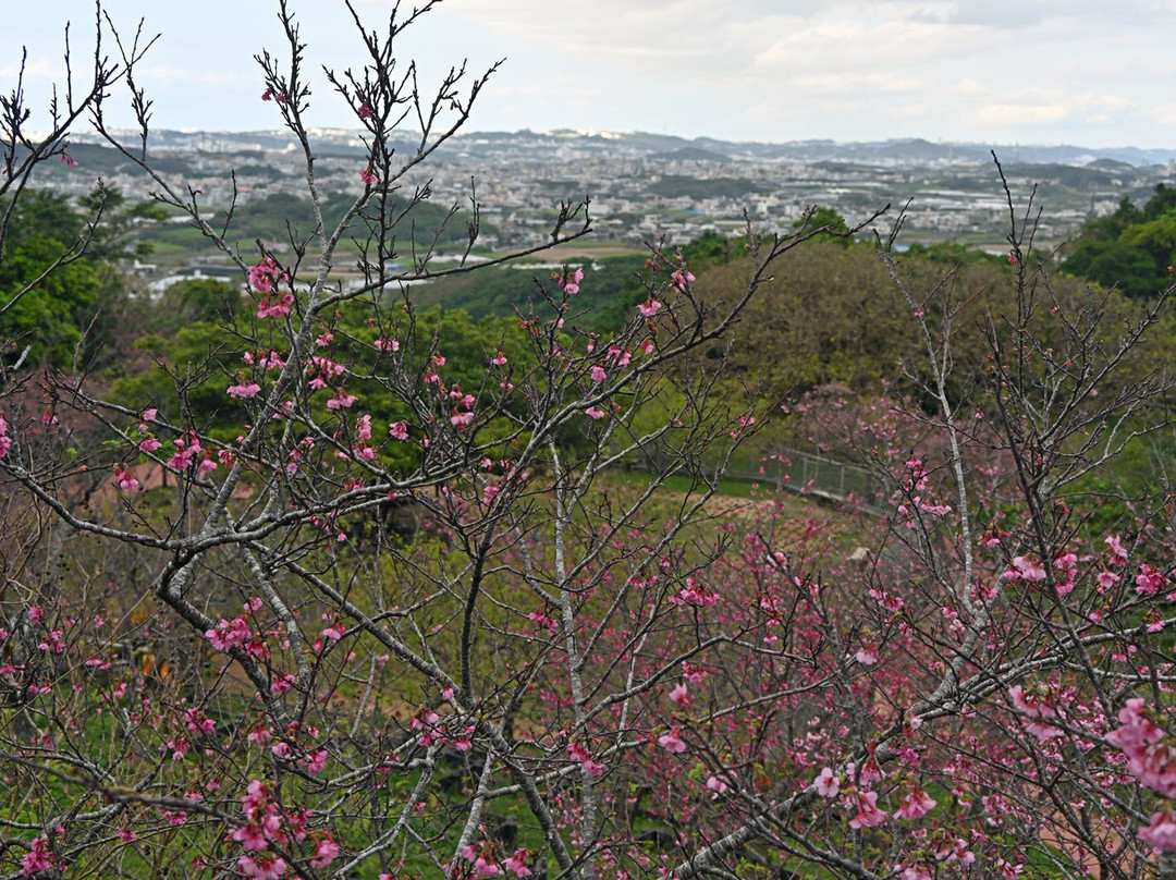 Yaese Park景点图片