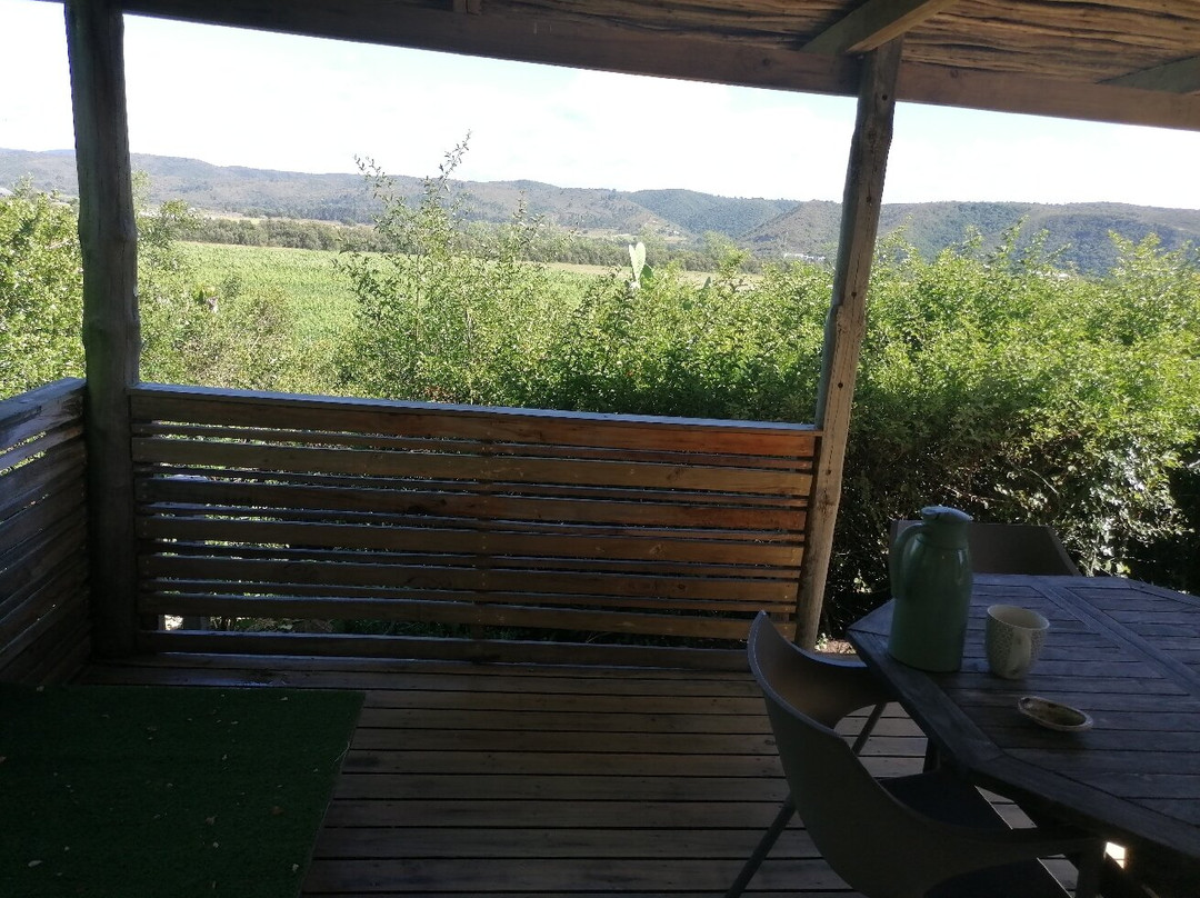 Bitou River Lodge主图