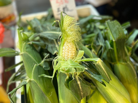 油麻地果栏-香港必去景点
