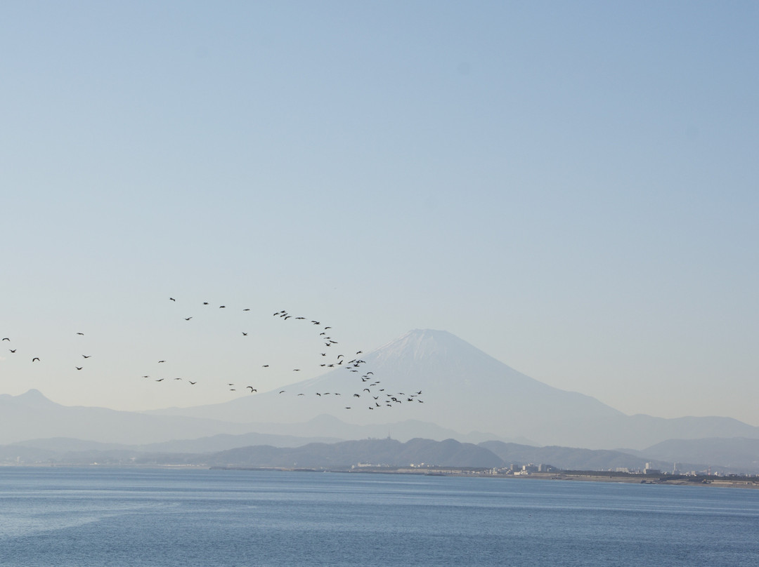 Enoshima Aquarium-藤泽市必去景点