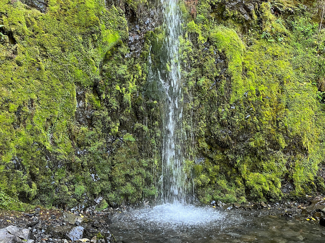 Dog Stream Waterfall景点图片
