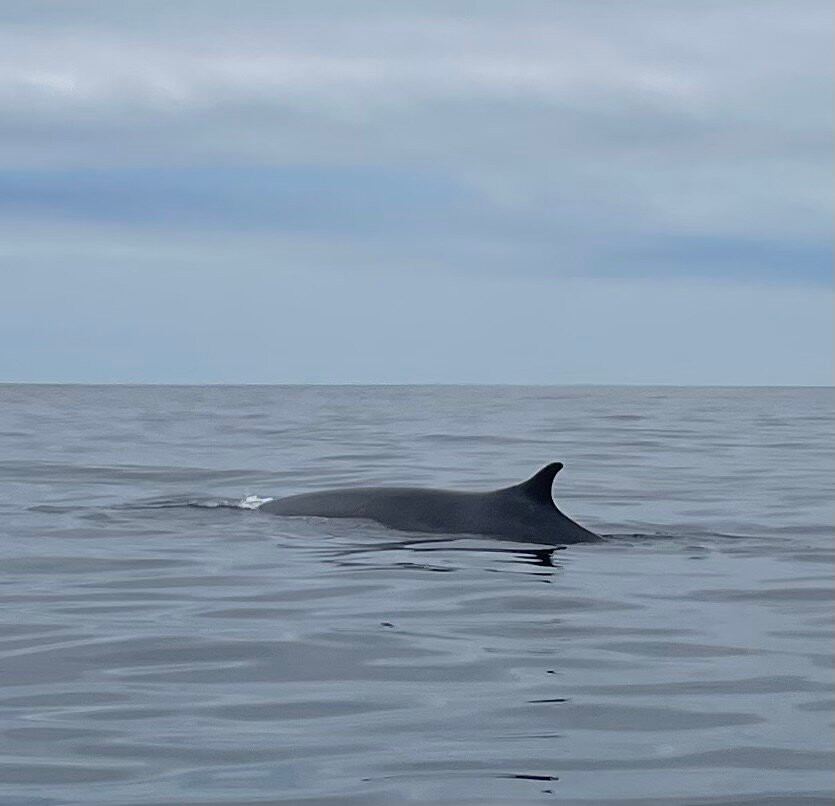 Caleta Chanaral de Aceituno-Chanaral必去景点