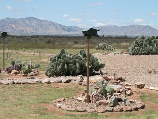 Ghost Town Trails-Pearce必去景点