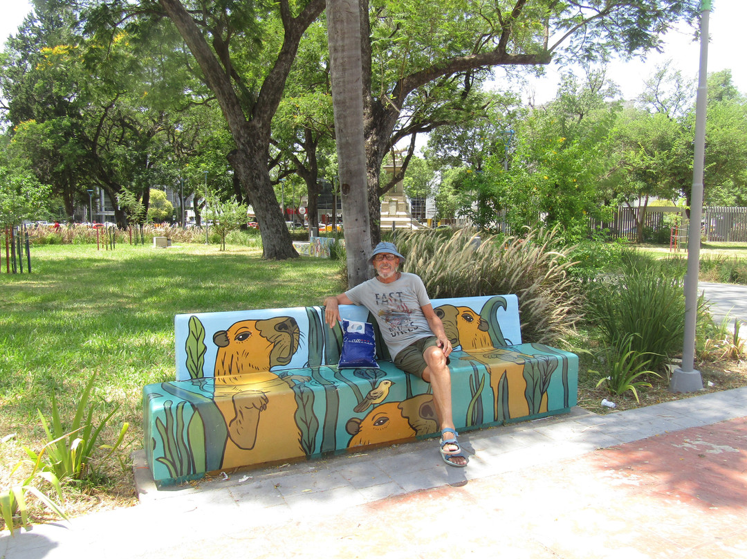 Plaza 25 de Mayo-雷西斯滕西亚必去景点