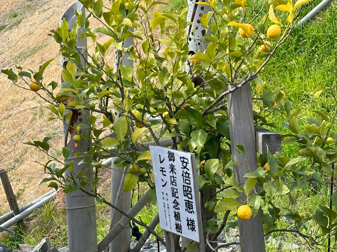 Kannonyama Fruits Garden-纪之川市必去景点