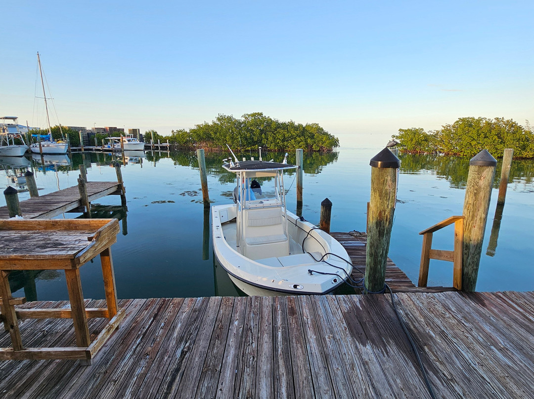 BayView Inn Motel and Marina主图