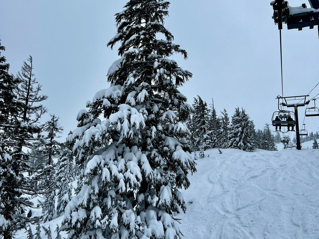 Mt. Bachelor Ski Area-本德必去景点