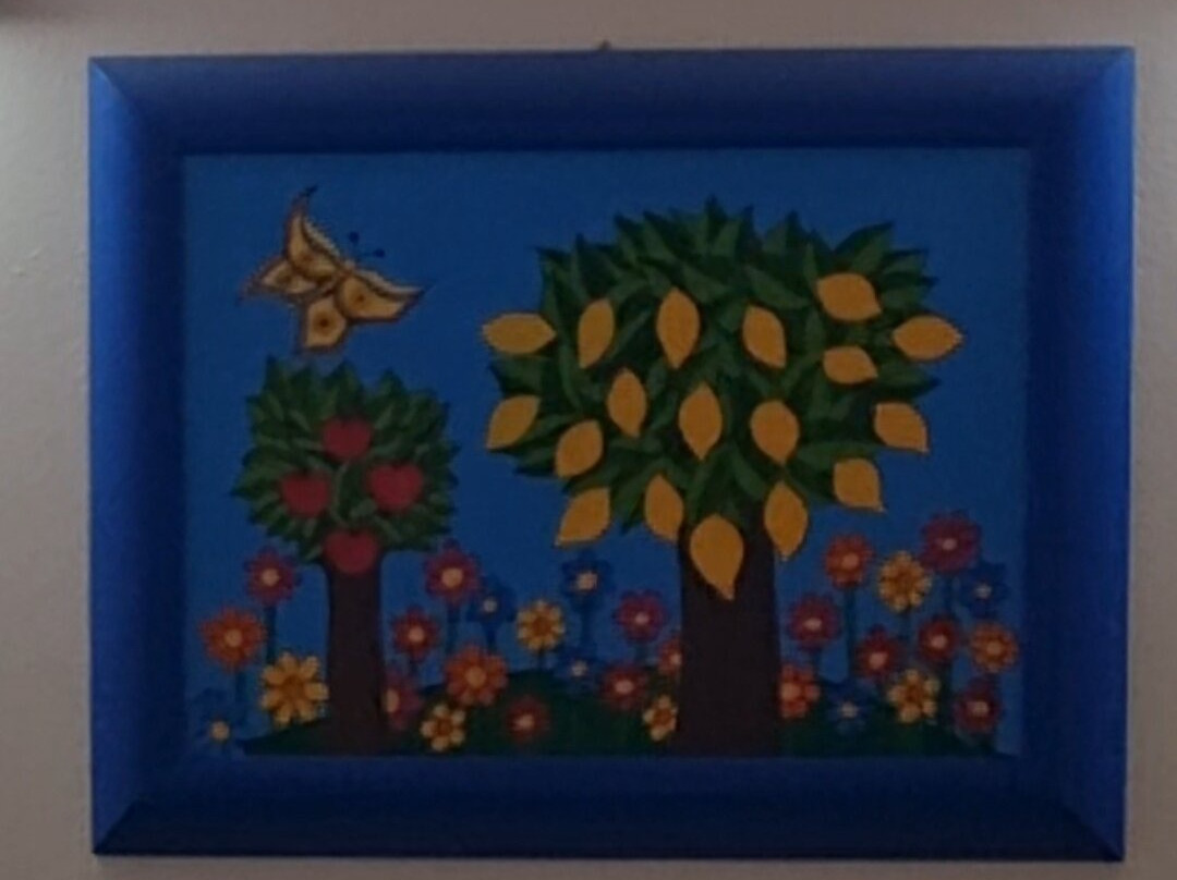 Affittacamere La Jacaranda主图